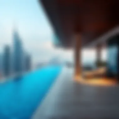 Spectacular Terrace with Infinity Pool Terrace with infinity pool and city skyline in the background