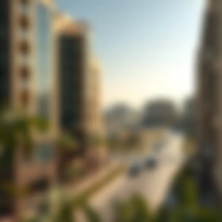 View of Jebel Ali community and amenities